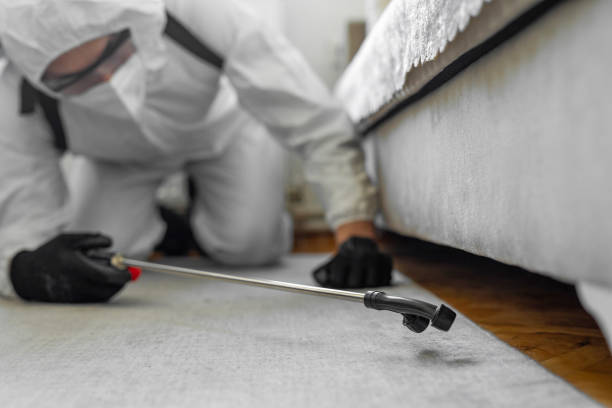 Professional Pest Control technician working in Utica, MI