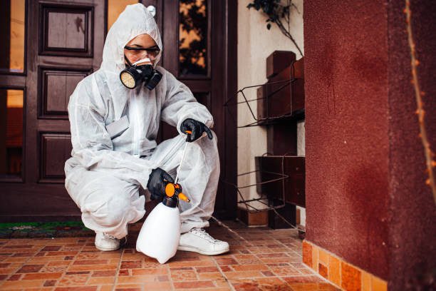 Reliable Cockroach Control contractor in Utica, MI by Nex Pest Control