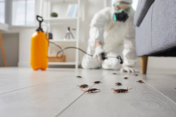 Trusted Rodent Control service in Utica, MI - Nex Pest Control