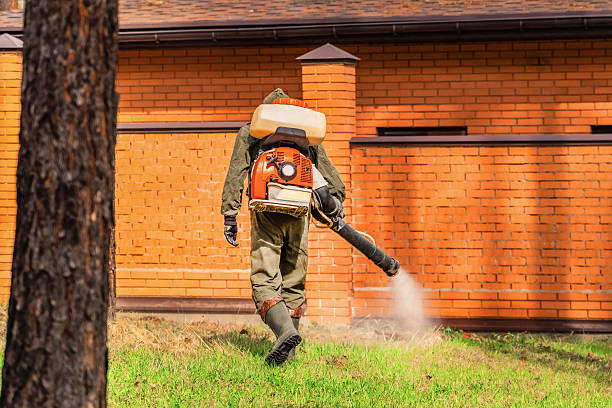 Trusted Termite Control service in Utica, MI - Nex Pest Control